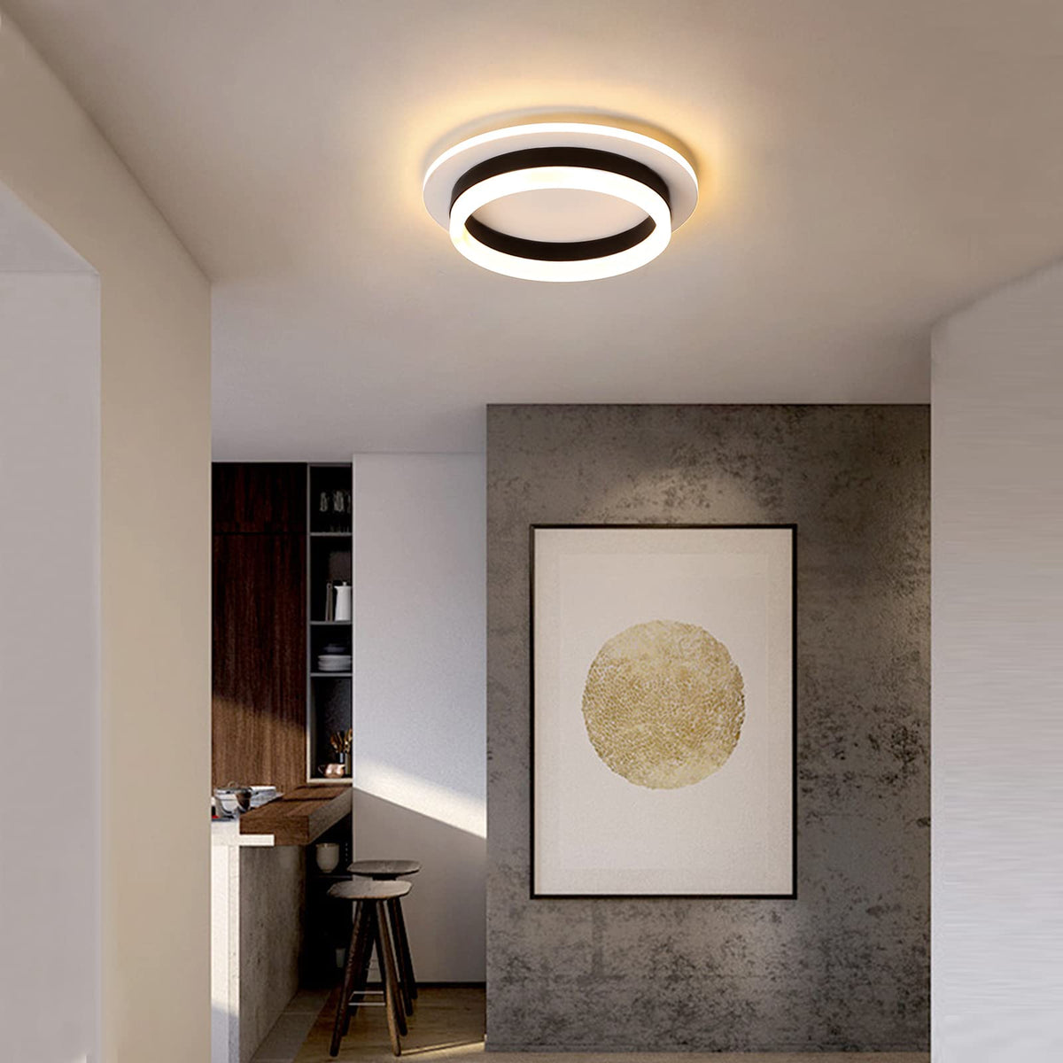 Round Modern LED Flush Mount Ceiling Lamp (Black,3000K)