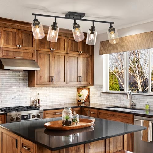 5 Light Kitchen Track Light Fixtures Ceiling Vanity Lights Black (Black / 5-Light)