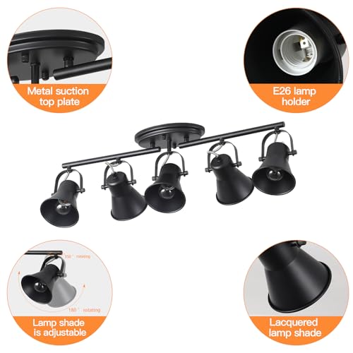 5 Light Track Lighting Kit (5-Light / Black)