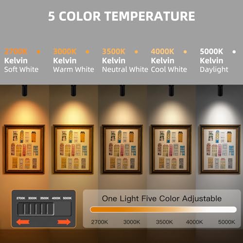 LED Track Lighting Kit 48W Track Light (Black)