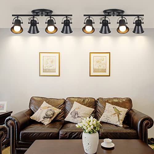 4 Light Track Lighting Kit (4-Light / Black)