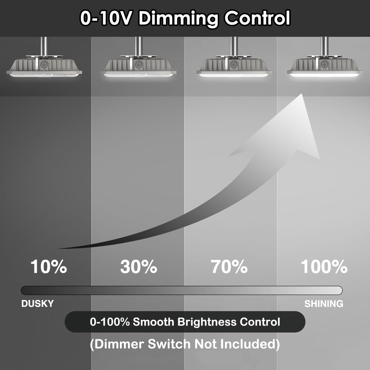LED Canopy Lights (100W 4Pack)