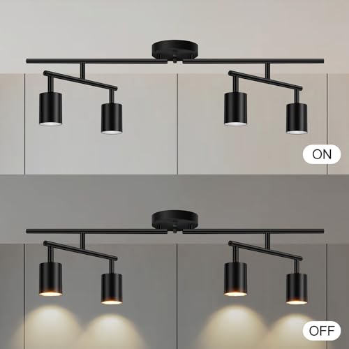 Black Track Lighting Kit (Black / 30" 4 Light Track Light)