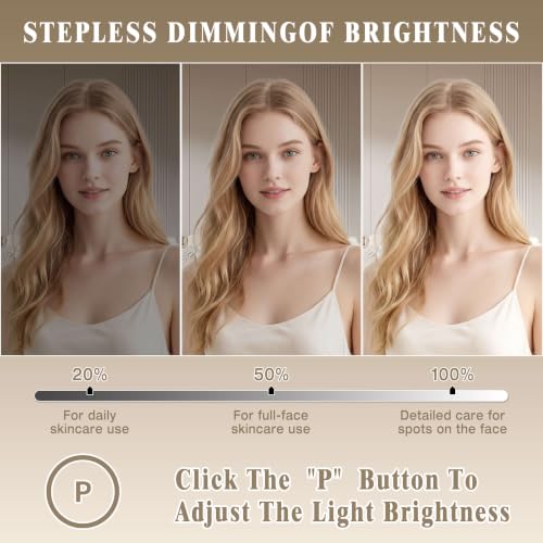 Vanity Mirror with Lights (White / 16.5"L x 13"W)