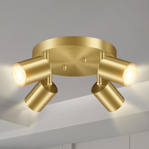 LED 4 Light Track Lighting Kit (4 Light-Gold)