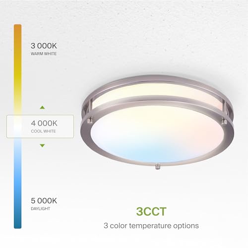 LED 10" Round Flush Mount Lighting (Brushed Nickel)