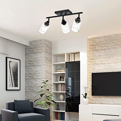 3 Light Bathroom Vanity Light Black with Rotatable Track Head (Black / 3-Light)