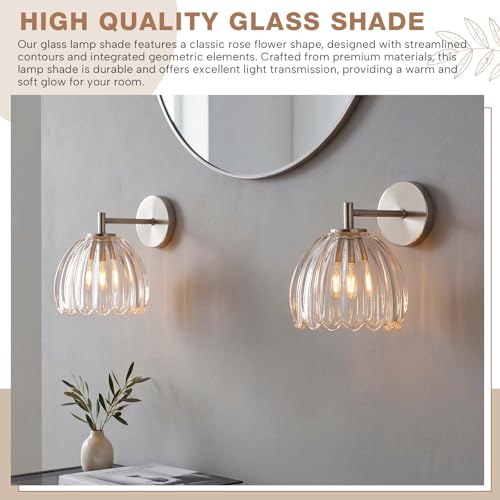 2 Pcs Glass Tulip Lamp Shade (Clear)
