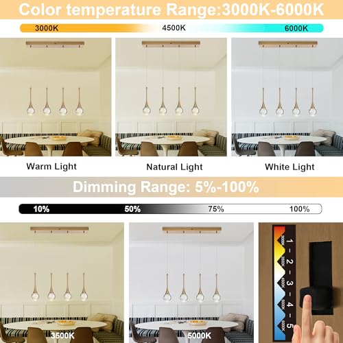 4 Light Brushed Gold Crystal Chandelier (Gold / Rectangle Pendant 4-Light)