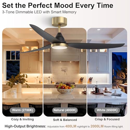 54 Inch Ceiling Fan with Lights (Black & Gold / 54 inch)