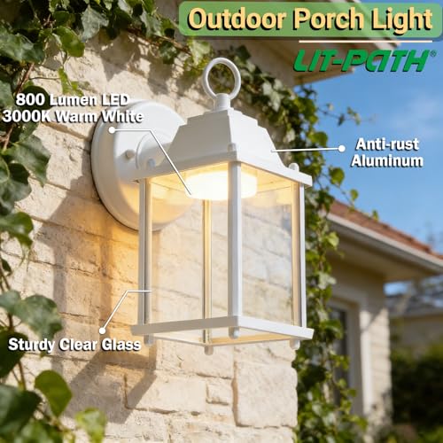 Outdoor Wall Light Fixture (3000K White / 1-pack)