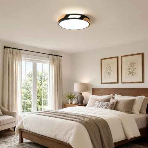 Modern LED Ceiling Light (Black / 15.75 in)