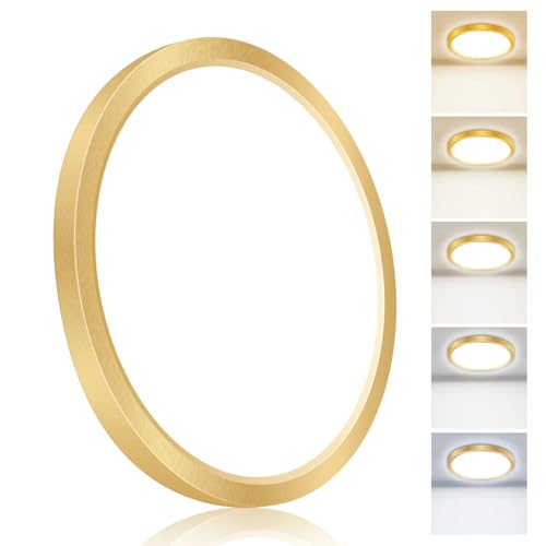 Flush Mount LED Ceiling Light Fixtures 5 Color Temperatures