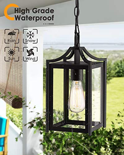 Outdoor Pendant Lights for Porch (Black / Small-Clear Glass)