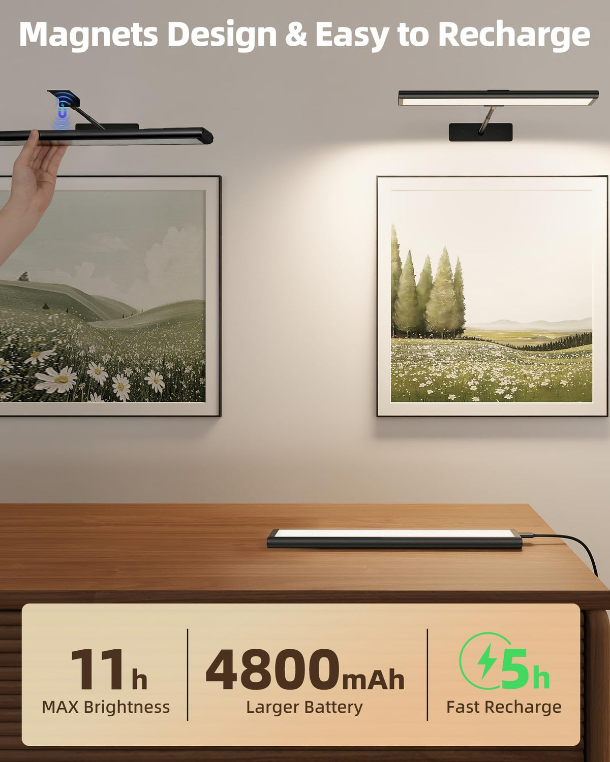 Picture Light for Wall (Black / 13inch)