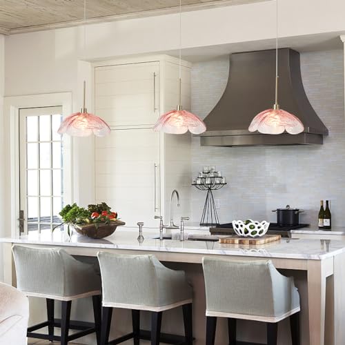 Farmhouse Pendant Hanging Light Fixture for Dining Room Foyer Hallway Bar Cafe Kitchen