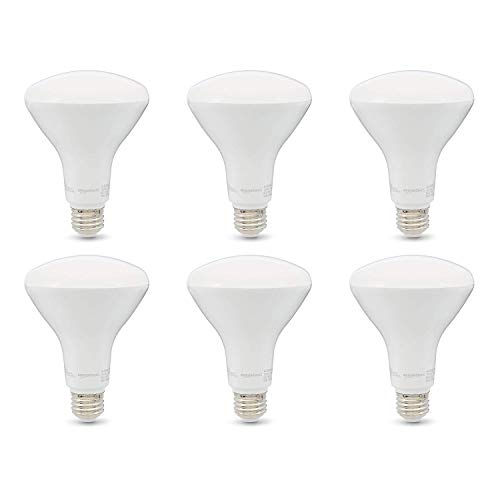 BR30 LED Light Bulbs (Soft White / 6 Count (Pack of 1) / 65W Equivalent)