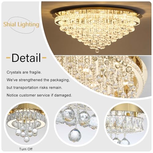 Dia 32" Modern Crystal Chandeliers for Dining Room (Gold / Dia 32")