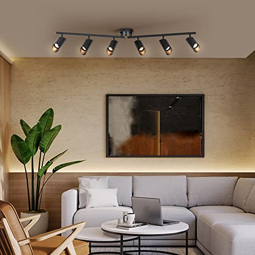 Foldable 6 Light Track Ceiling Light (Black, Christina 6-Light)