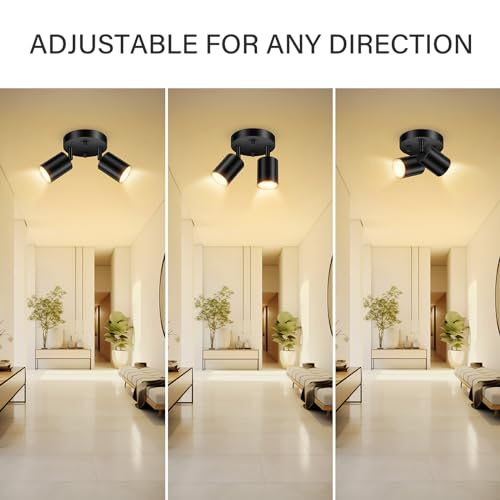 LED 2 Light Track Lighting Kit (2 Light-Black)