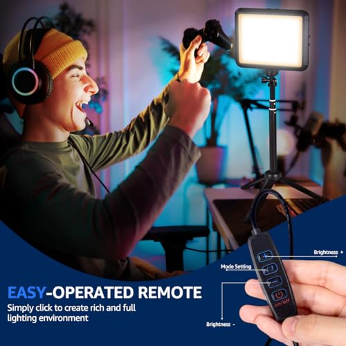 LED Photography Lighting Kit (8“)