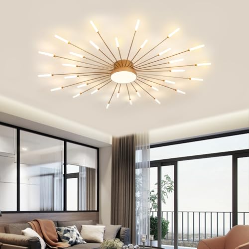Modern Ceiling Light