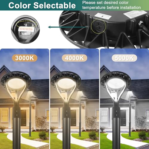LED Lantern Post Top Pole Light