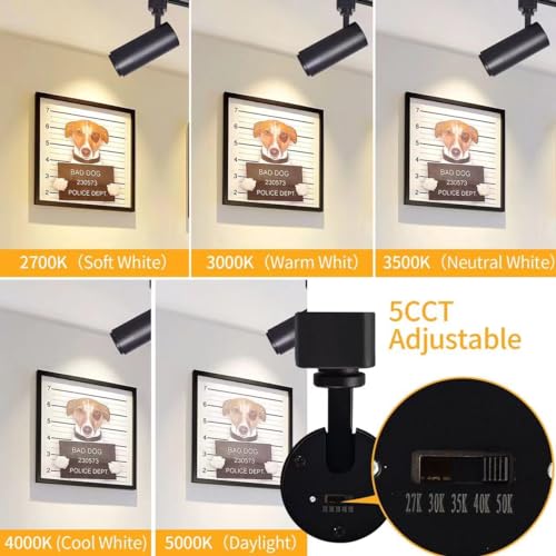 Track Lighting Heads 12W H (Black - 6 Pack)