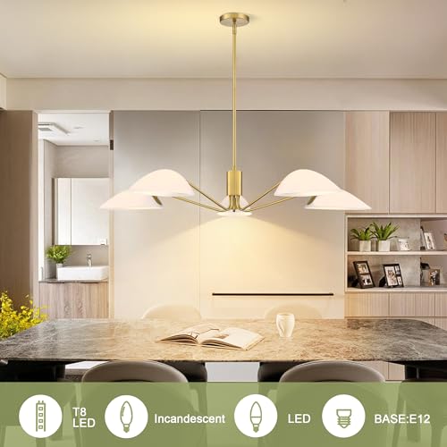 Modern Glass Chandeliers (Gold-5LT-Pendant)
