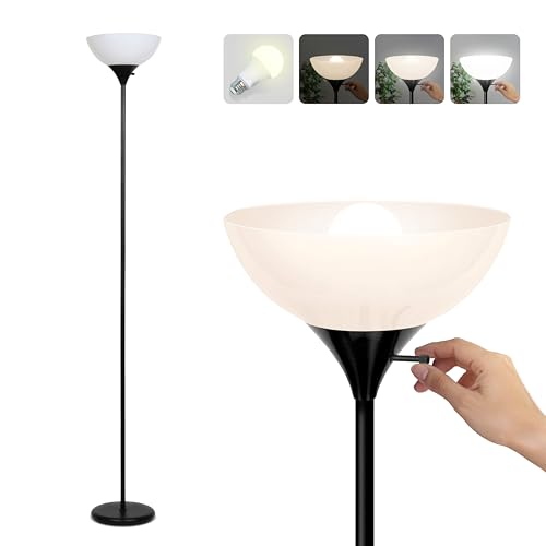 Sky Dome Dimmable LED Floor Lamp (Jet Black)