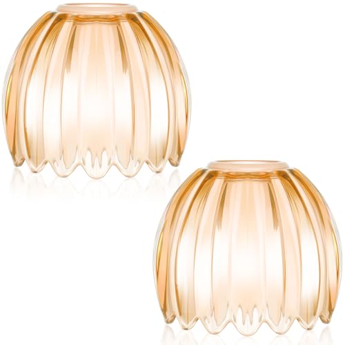 2 Pcs Glass Tulip Lamp Shade (Amber)