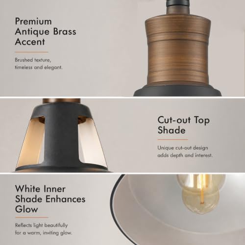 Black Metal Barn Stem Pendant Light