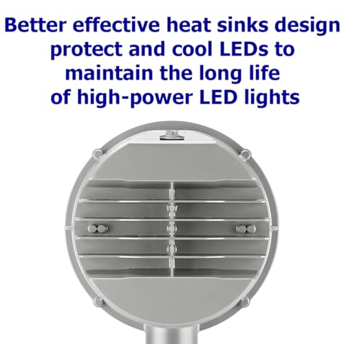 LuminaGuard 43W LED Barn Light with Arm