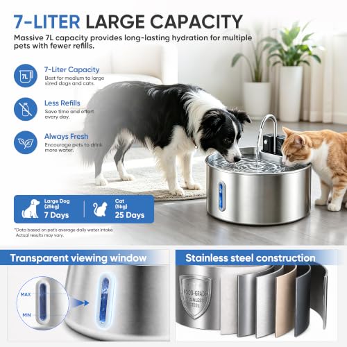 Selene Dog Water Fountain (7L/237oz)