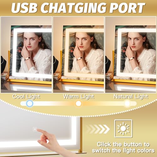 Vanity Mirror with Lights 22''x18'' Makeup Mirror with Lights (Gold / 22"L x 18"W)