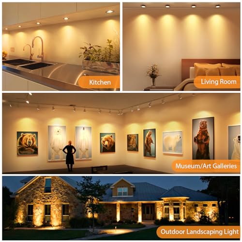 48 Pack MR16 LED Bulbs 5W GU5.3 12V Spotlights (Warm White)