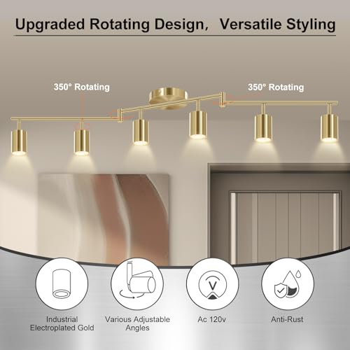 6 Light Track Lighting Fixtures Ceiling (6 light gold)