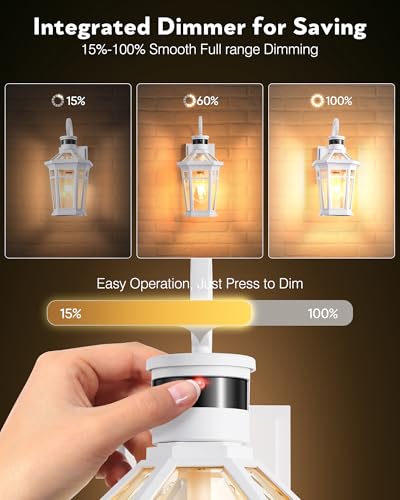 2 Pack Motion Sensor Outdoor Wall Lantern (White / 2-Pack)