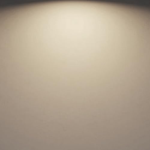 A19 8W Light Bulbs