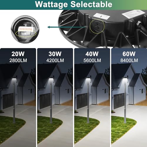 LED Lantern Post Top Pole Light