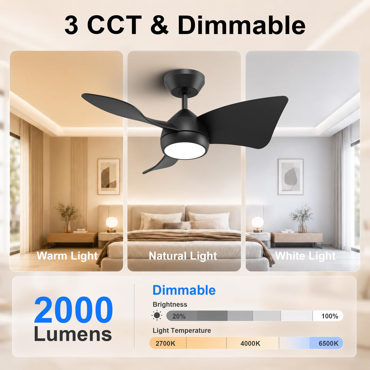 30 Inch Small Ceiling Fan with Lights (Matte Black / 30 Inch)