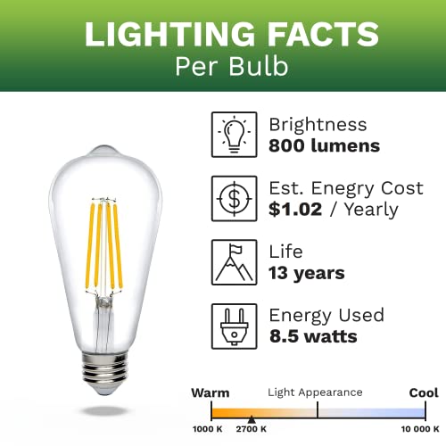 Bioluz Dimmable Warm Edison Light Bulbs (Warm White 2700k / 6 Count (Pack of 1))