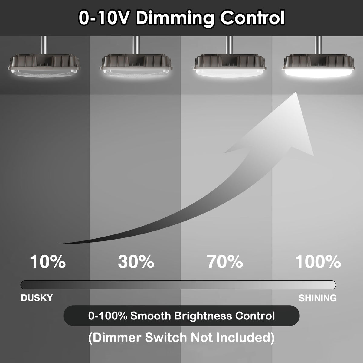 LED Canopy Lights (60W 4Pack)