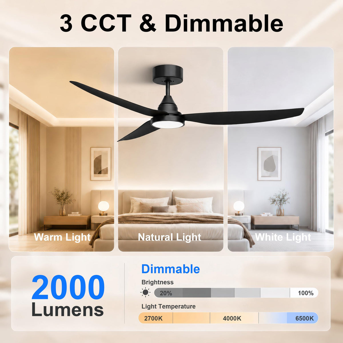 2 Pack 54 Inch Ceiling Fan with Lights (Black / 54 inch)