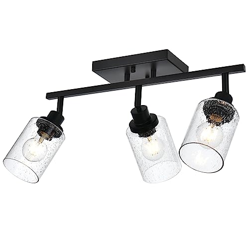 3 Light Track Lighting Fixtures Ceiling Spot Light (Black / 3-Light)