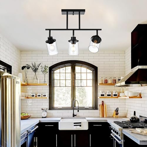 Track Lighting Fixtures 3 Light Ceiling Lights with Adjustable Track Heads (Black / 3-Light)