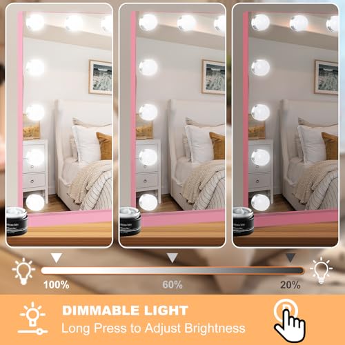 Vanity Mirror with Lights (Pink / 23"L x 18"W)