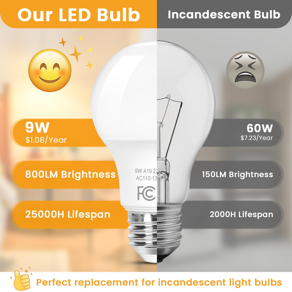 A19 Dimmable LED Light Bulb (2700k Warm White)
