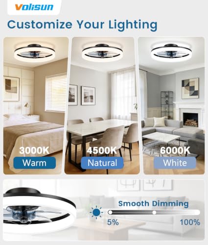Low Profile Ceiling Fans with Lights and Remote (Black / 16 INCH)