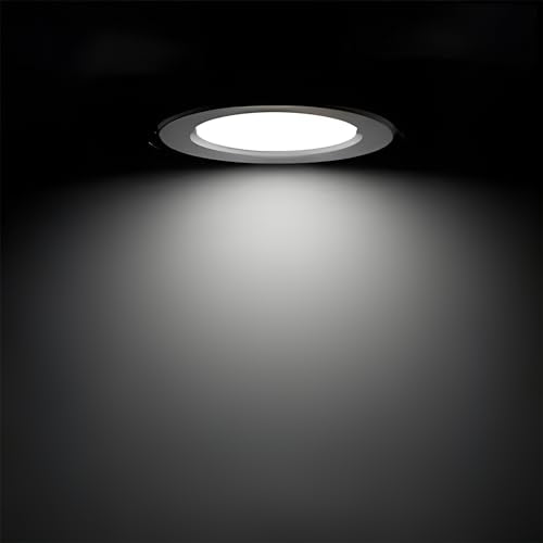 12 Pack BR30 Flood Light Bulb Indoor